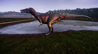 Suchominus  reskin