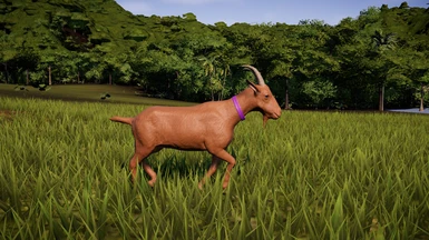 brown goat (part of update 1.05.)