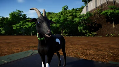 black spotted goat 1.10. (updated)