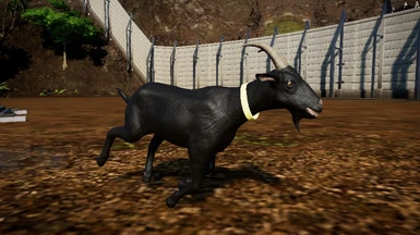 black goat 1.10. (updated)