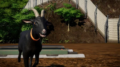 *user suggestion* bl. goat with orange eyes