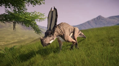 Sylvaceratops sp.