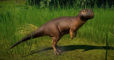 Psittacosaurus (New Species)