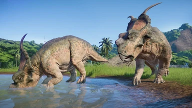 Achelousaurus Paleontological Extra