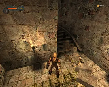 Knight and Paladin Swapped ingame
