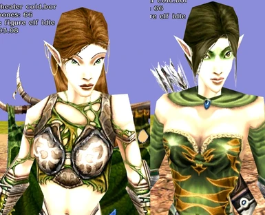 Elf Healer & Ranger without collars