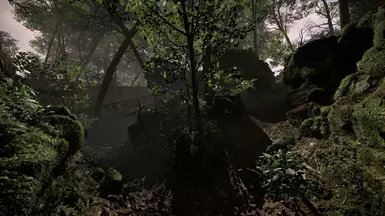 Argonne Forest (Overcast)