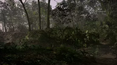 Argonne Forest (Overcast)