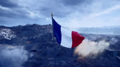 Republic of France Flag