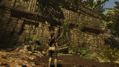 SOTTR Visual Redone Reshade at Shadow of the Tomb Raider Nexus - Mods ...