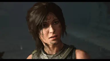 SOTTR Visual Redone Reshade at Shadow of the Tomb Raider Nexus - Mods ...