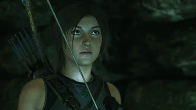 Shadow of the tomb raider mods