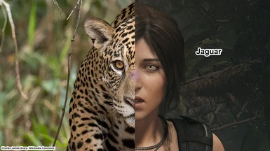Special Eyes for Lara