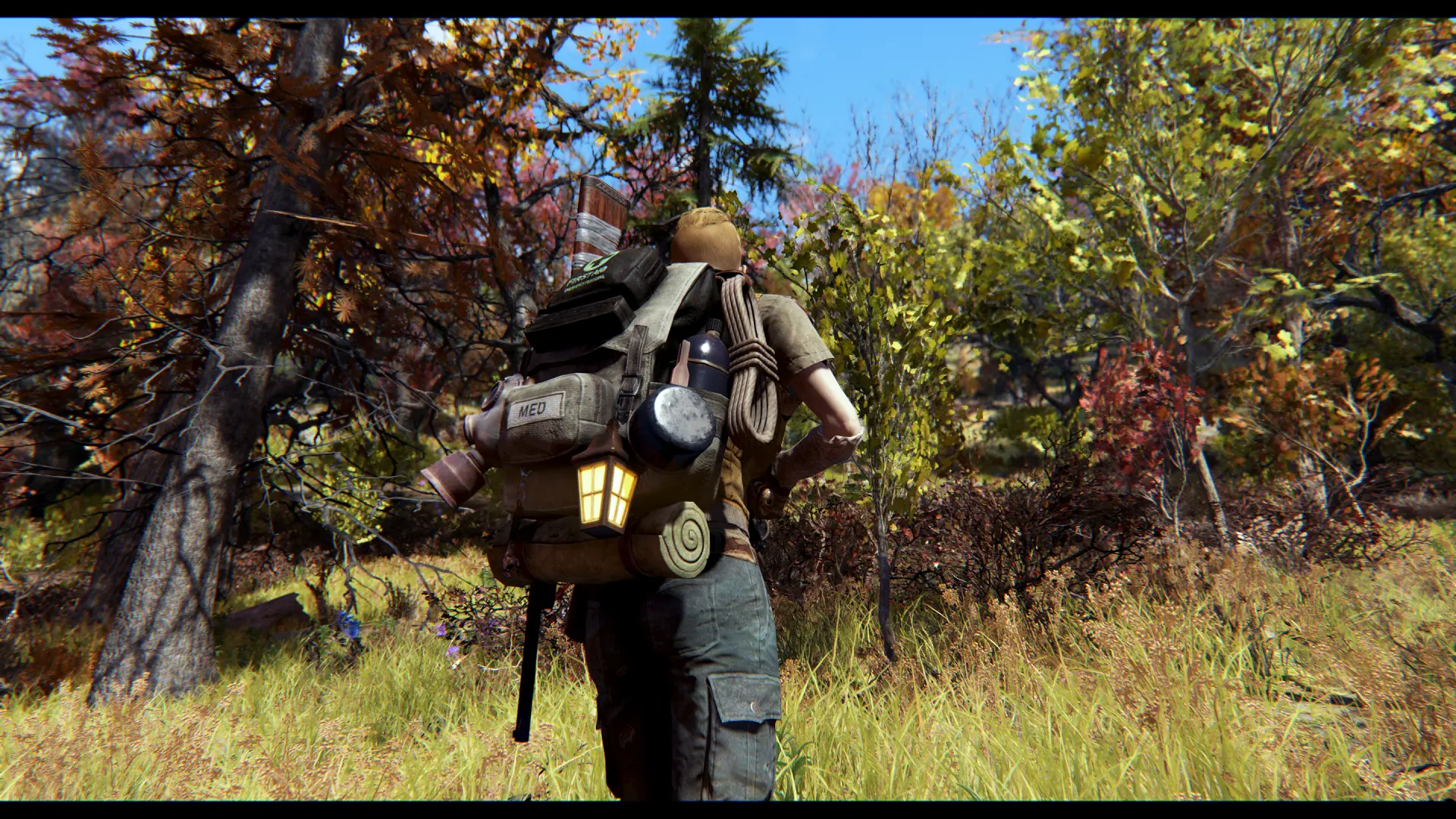 Adventurer Backpack at Fallout 76 Nexus - Mods and community