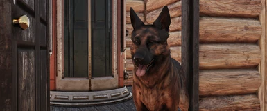 Dogmeat Collectron Replacement Mod V2 - now with dog house