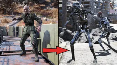 Scorched Terminator Endoskeleton