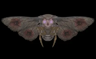 Wise Mothman Consistency
