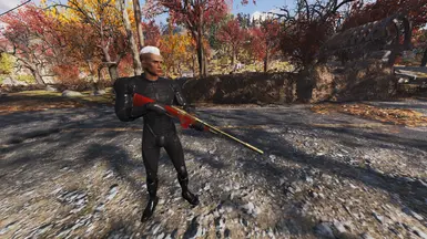 The Fixer Skins