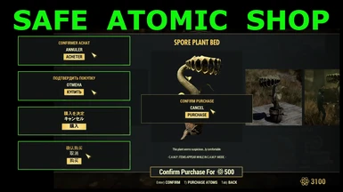 Safe Atomic Shop - Purchase Confirmation