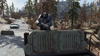 V1B