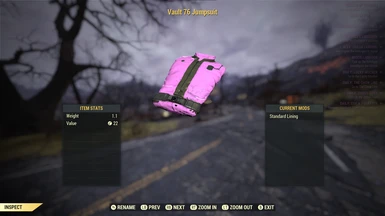 Pink Vault Suit