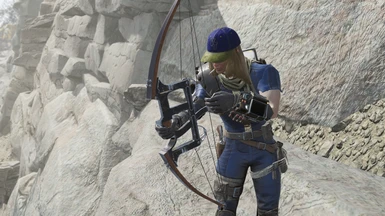 Bow to Compound Bow