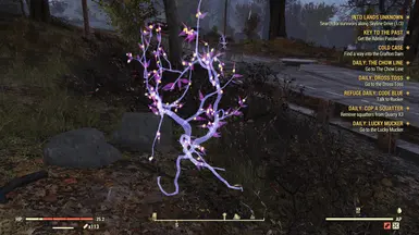 Starlight Berry