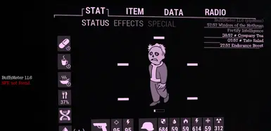 1.1.6: SFE not found: widget loading in pipboy background