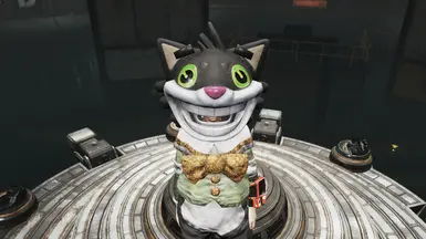 Mr Fuzzy Mascot ReColour