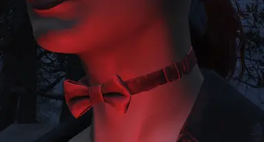 Cat Collar 