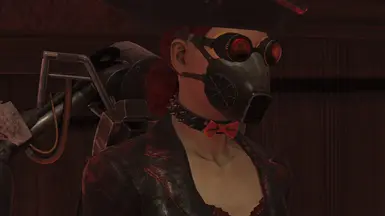 Dog Collar with mask - Ring slot 