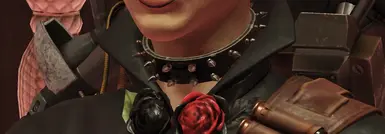 Dog Collar - No Bowtie