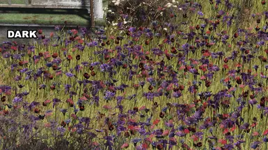 Big Bloom Dark