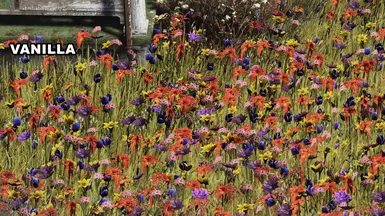 Big Bloom Vanilla