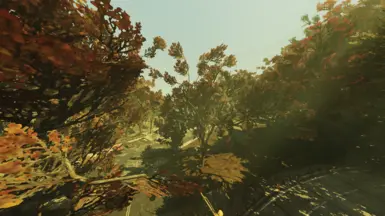 Crevasse Dam - Default