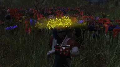 Glowing Flower Crowns