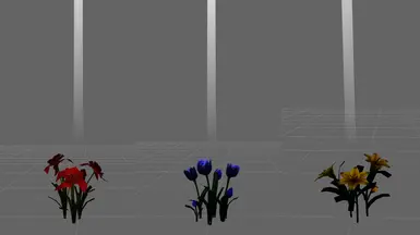 Active flowers bloom in spring