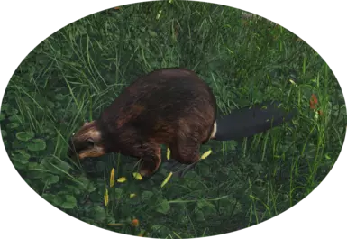 Better RadBeaver