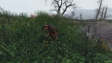 Better RadBeaver