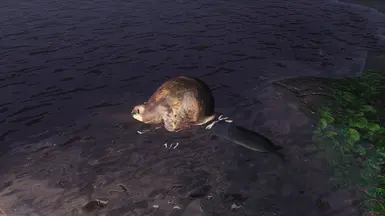Better RadBeaver