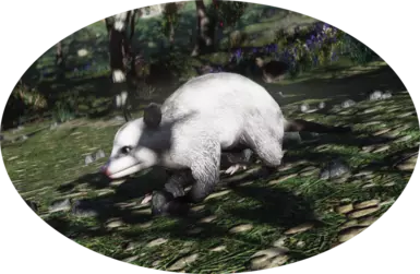 Better Opossum