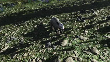 Better Opossum