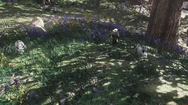 Better Opossum