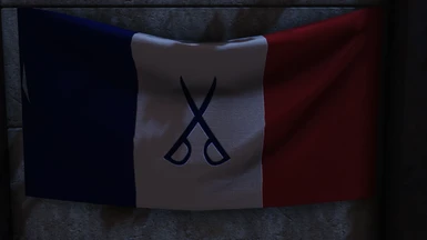 France Flag - alternate