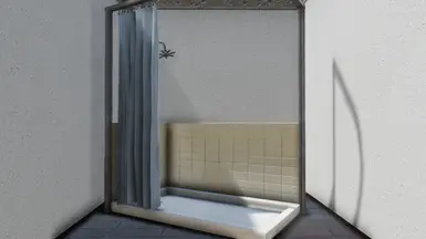 Bathtub replaced with Shower