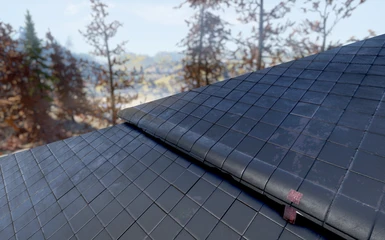 Asbestos Roof Retexture