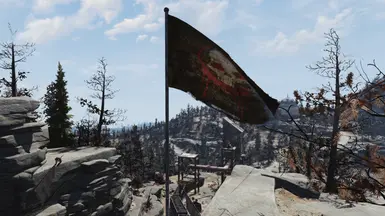 Raider Faction Flags