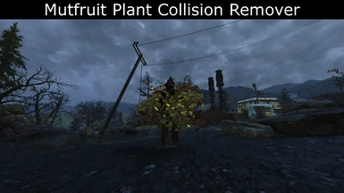 Mutfruit Plant Collision Remover