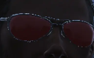 Patrolman Sunglasses Aviators