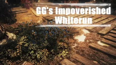 GG's Impoverished Whiterun - SE - AE